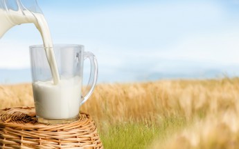 Alergia x Intolerância